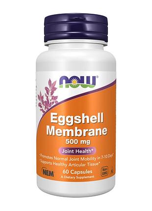 Eggshell membrane 500mg - 60 caps
