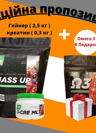 Купить : комплекс для набора массы : гейнер углеводный (2,5 кг ) + креатин ( 0,3 кг ) = омега 3 в подарок