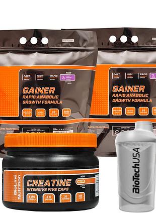 Гейнер rapid anabolic ( 6 кг / 2 упаковки = 73% углеводы + 17% белок ) + креатин intensive (150 капс) + шейкер