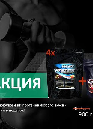 Протеин сывороточный 78% белка (4 кг, венгрия) +креатин моногидрат (0,3 кг., бельгия)