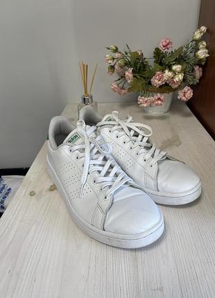 Кросівки чоловічі adidas