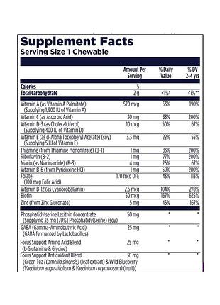 Focus-saurus - 30 chewables grape 2