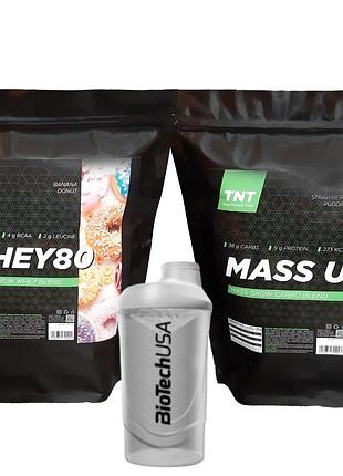 Whey protein = 80% белка - для эффективного набора мышечной массы ( 2 кг ) + гейнер ( 2,5 кг ) + шейкер tnt