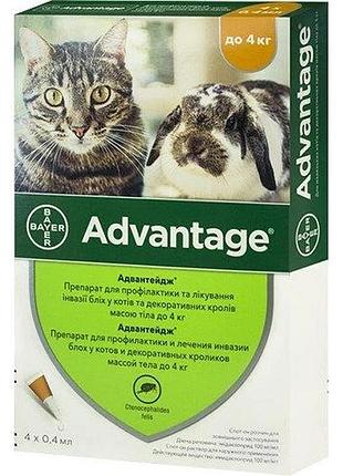 Капли от блох и клещей для кошек менее 4 кг advantage 40 by bayer animal, 4 пипетки