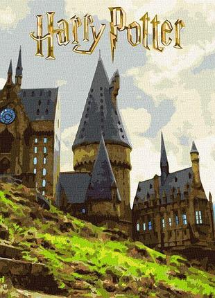 Картина за номерами - harry potter: пейзаж гоґвортсу з фарбами металік ©warner bros.