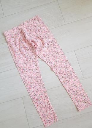 Лосіни лосини 4