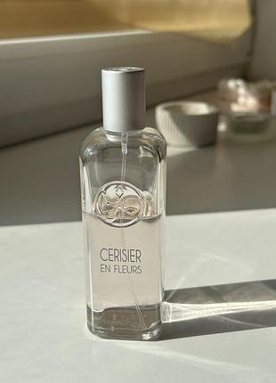Cerisier en fleurs yves rocher