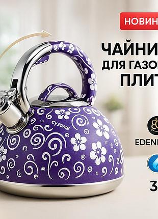 Чайники со свистком наплитные edenberg, чайник стальной со свистком на плиту, красивый чайник для плит tz-19