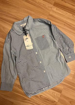 Стильна сорочка оверсайз в смужку joules zara