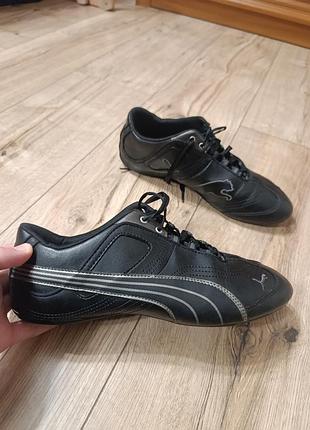 Кросівки puma