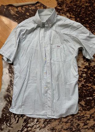 Сорочка lacoste l
