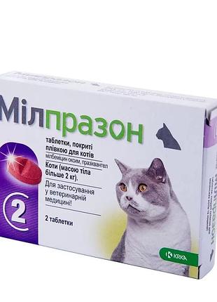 Милпразон (milprazon) 16/40 мг таблетки от глистов для кошек с массой более 2 кг (блистер) №4