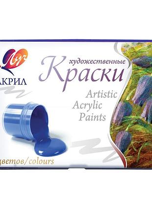 Фарби акрилові художні "професійні" 6кол. 20мл 22с1408-08, шт