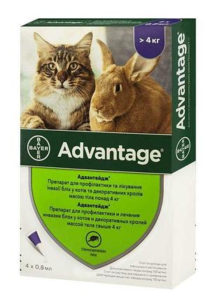 Капли от блох и клещей для кошек свыше 4 кг advantage 80 by bayer animal
