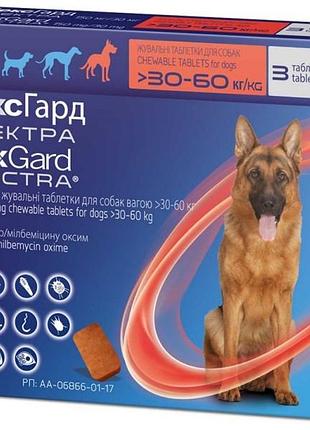 Nexgard spectra (нексгард спектра) - пігулки проти бліх, кліщів і гельмінтів для собак вагою 30-60 кг