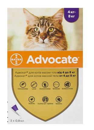 Капли advocate для кошек 4-8 кг для защиты от внешних и внутренних паразитов