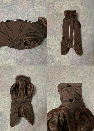 Одяг для собак від чеського бренду sofa dog wear.