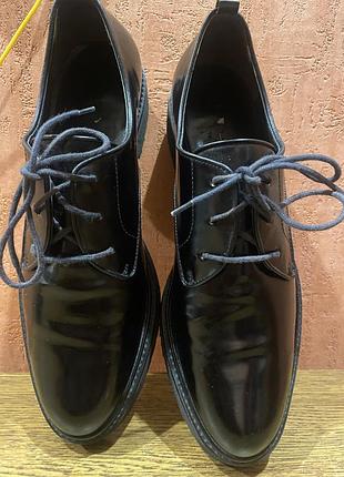 Туфлі 👞 шкіряні ,злегка лакованi  navyboot