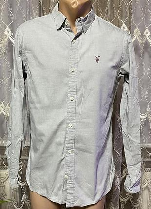 Allsaints котоновая рубашка