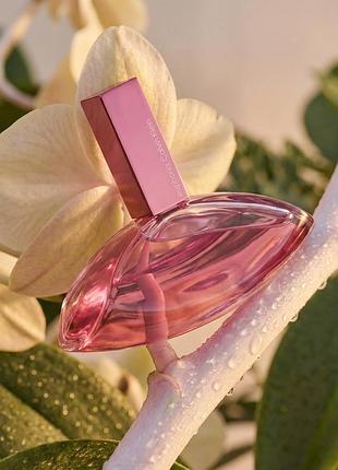 Calvin klein euphoria magnetic elixir відливант розпив