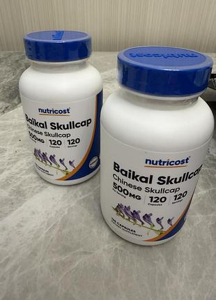 Baiksl skullcap