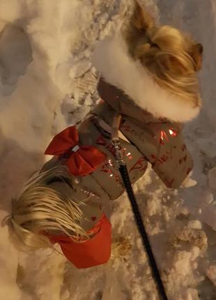 Зимний комбинезон из светоотражающей ткани для девочек живот закрыт одежда для собак2 фото