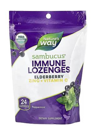 Sambucus organic lozenges mint - 24 cnt