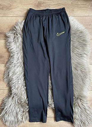 Спортивні штани nike