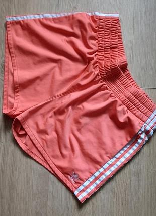 Adidas шорты женские спортивные