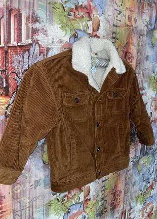 Куртка, верхній одяг