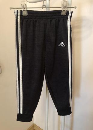 Штани adidas джогери оригінал