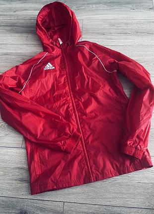 Оригінал вітрівка adidas