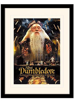 Постер в раме "harry potter (dumbledore)" 30 x 40 см