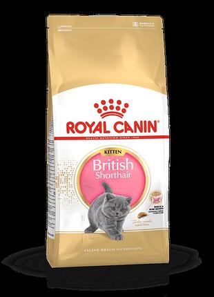 Royal canin kitten british shorthair (роял канин) для котят породы британской короткошерстной в возрасте до 12 месяцев 2 кг