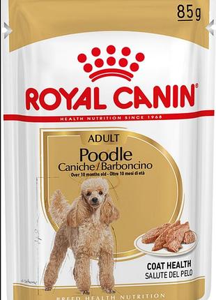 Вологий корм royal canin breed health nutrition poodle loaf для пуделів, 85 г cbn poodle loaf 85g, корм для собак