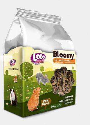 Корм lolopets bloomy подорожник для гризунів, 75 г