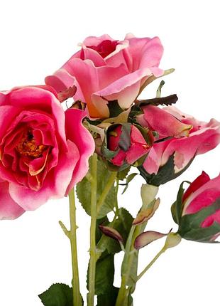 Камелия (75 см) elisey