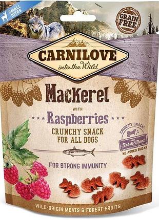 Ласощі carnilove crunchy snack для собак зі скумбрією та малиною 200 г