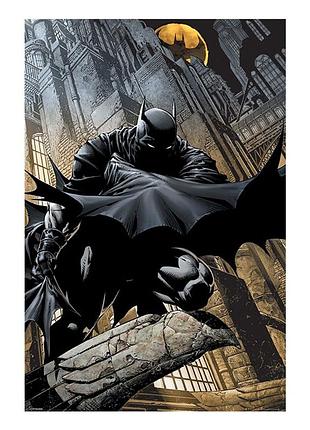 Постер "batman (night watch)" 61 х 91,5 см