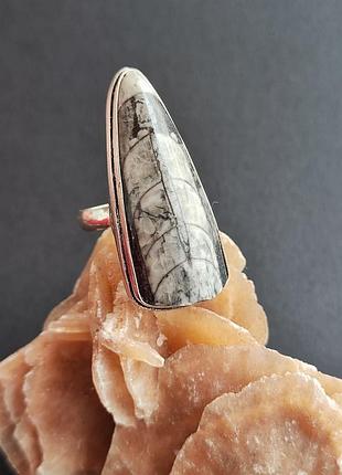 Ортоцерас кільце крапля. розмір 17.8-18 . перстень з ортоцерасу. індія.