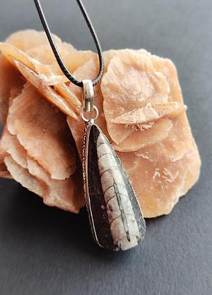 Ортоцерас подвес капля. кулон из ортоцераса. подвеска ортоцерас. индия.