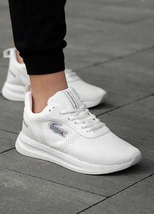 Lacoste court-drive fly 5