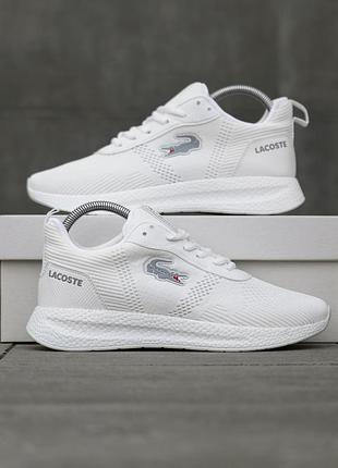 Lacoste court-drive fly 2