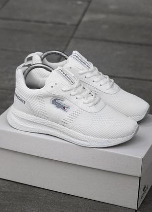 Lacoste court-drive fly 3
