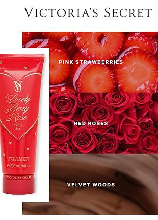 Lovely berry rose