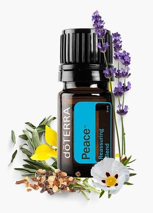 Арома-дубль, 2 шт, 5+5 мл, суміш ефірних олій peace та інші 👑 doterra