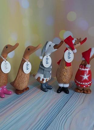 Декоративні дерев'яні фігурки каченят від бренду dcuk (the duck company)