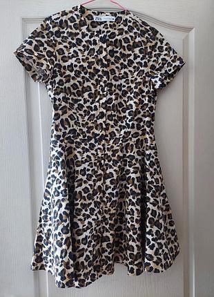 Сукня zara нова xs