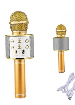 Дитячий мікрофон з караоке karaoke dm ws-858