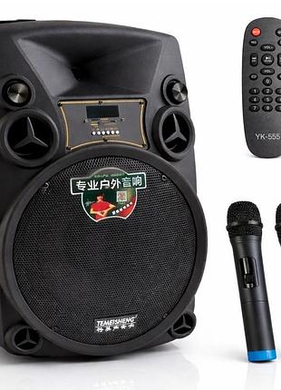 Акустическая система с двумя микрофонами, usb, bluetooth, 12" + пульт, temeisheng sl12-14